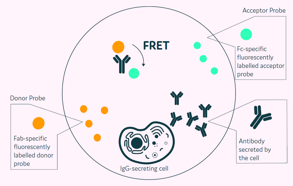 image009.png image009.png