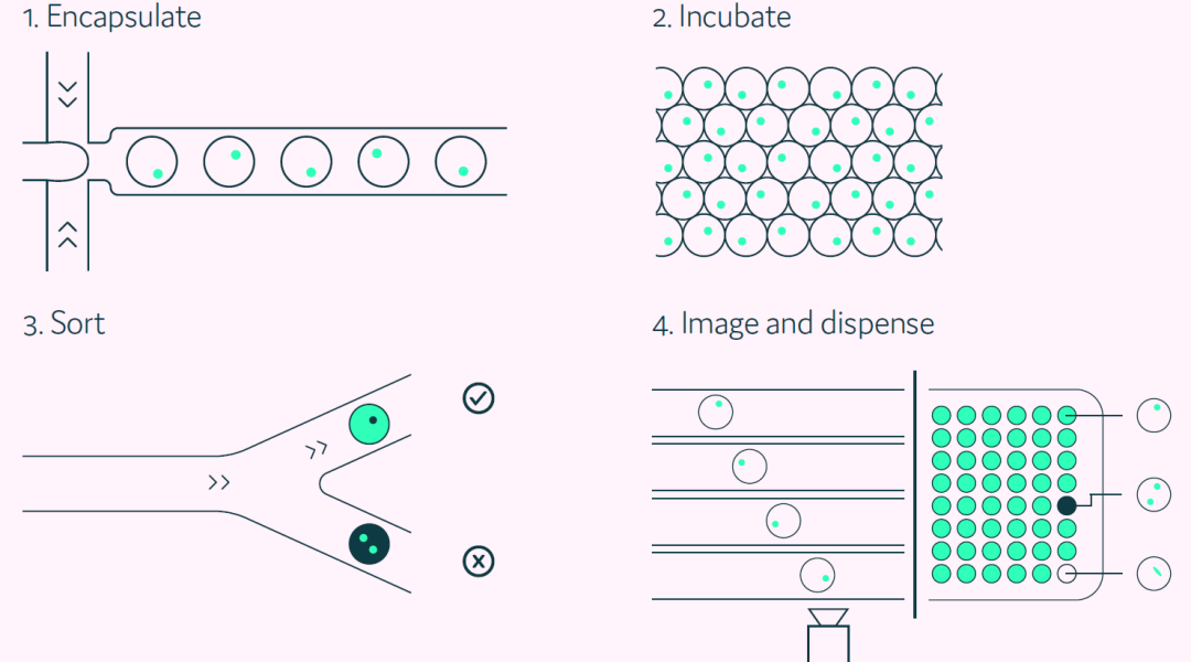 image011.png image011.png