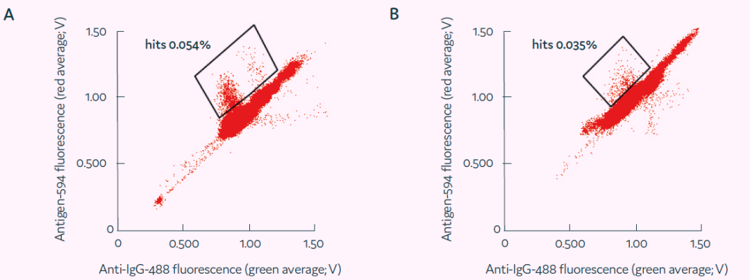 image013.png image013.png