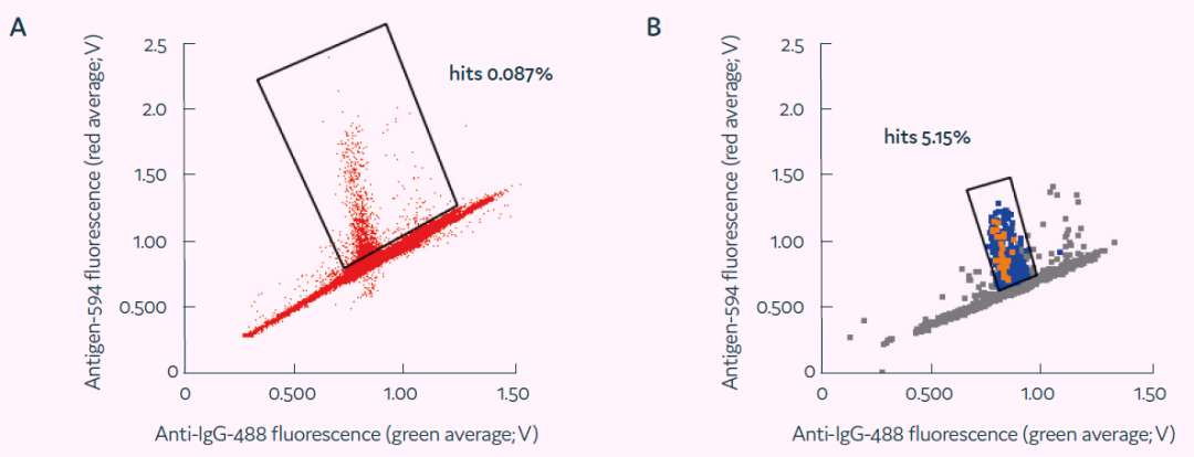 image017.png image017.png