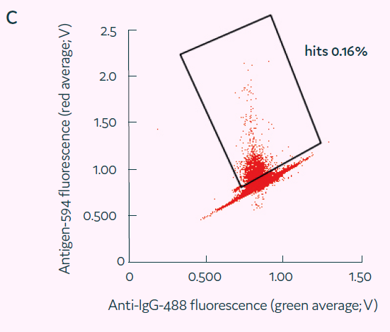 image019.png image019.png