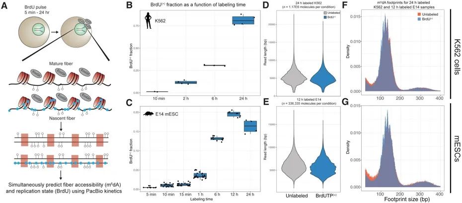 image010.jpg image010.jpg