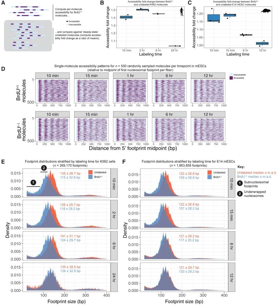 image012.jpg image012.jpg