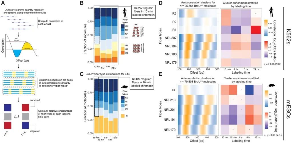 image014.jpg image014.jpg
