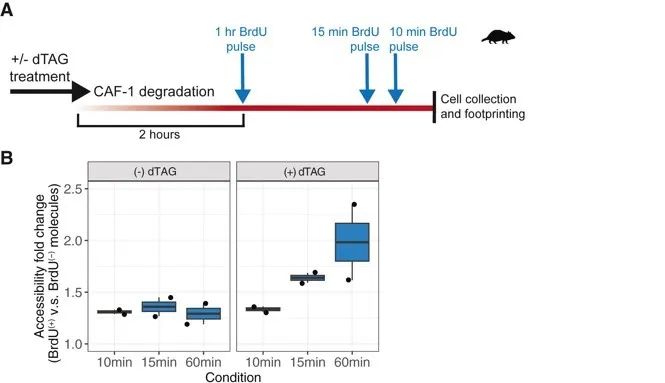 image016.jpg image016.jpg