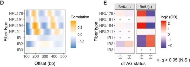 image018.jpg image018.jpg