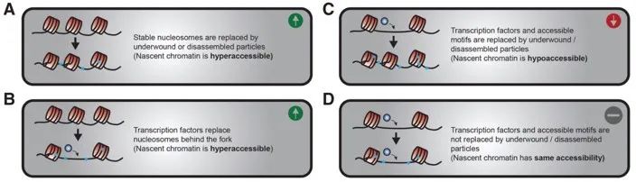 image020.jpg image020.jpg