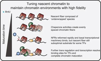 image023.jpg image023.jpg