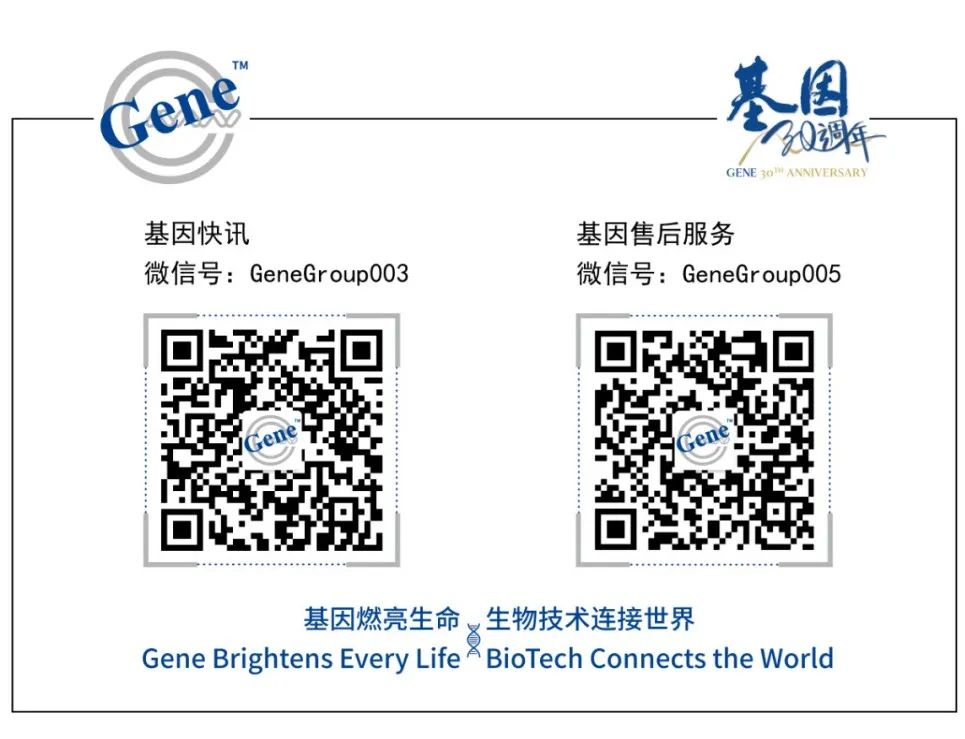 image027.jpg image027.jpg