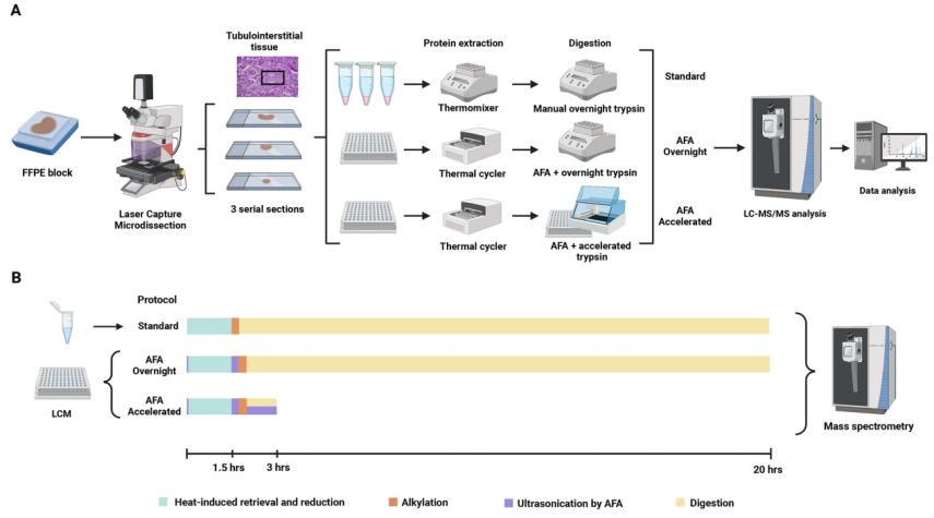 image003.jpg image003.jpg