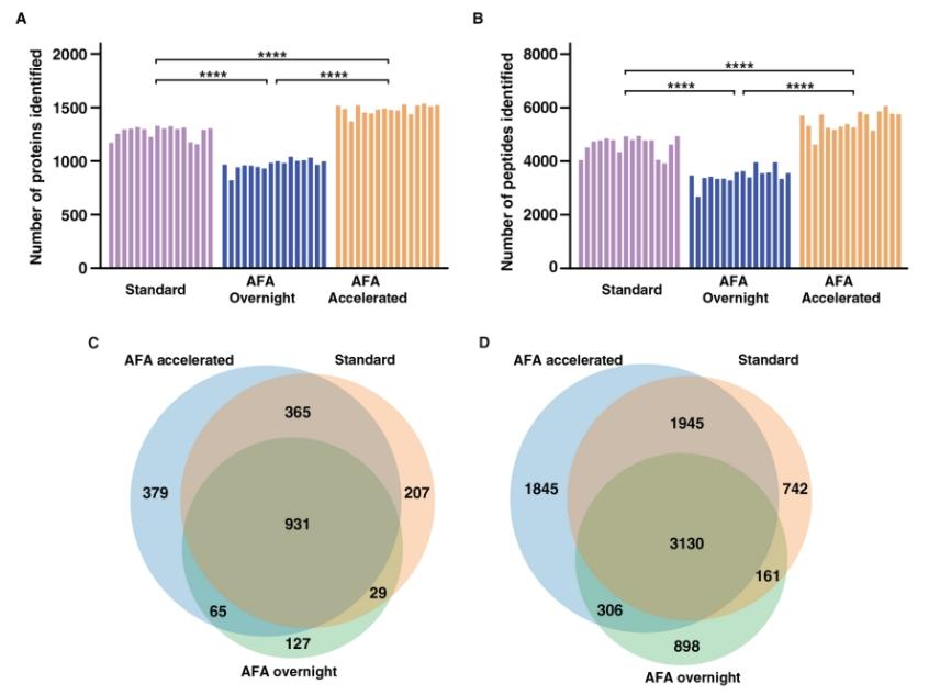 image005.jpg image005.jpg
