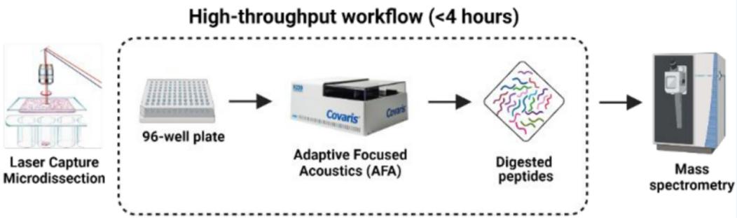 image007.jpg image007.jpg