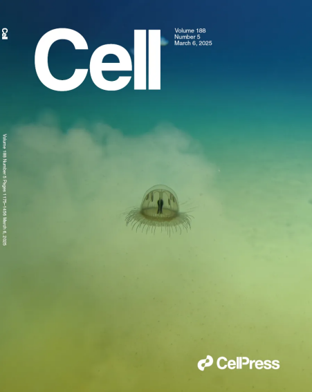 image001.png image001.png