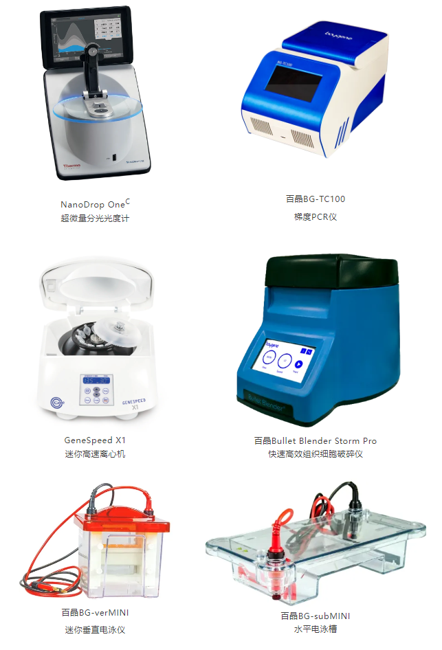 image004.png image004.png