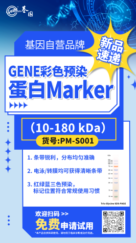 image003.png image003.png