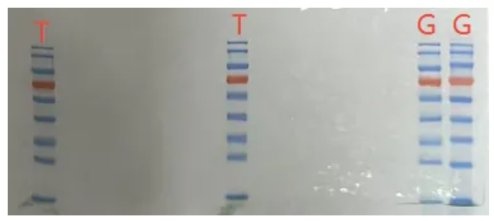 image005.png image005.png