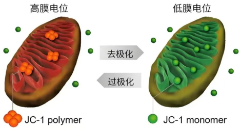 image003.png image003.png