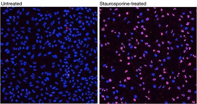 image017.jpg image017.jpg