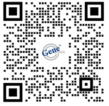 image003.png image003.png