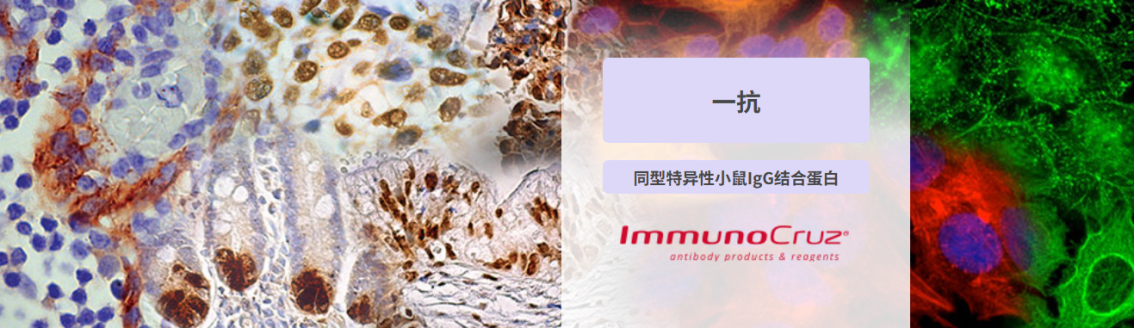 image001.png image001.png