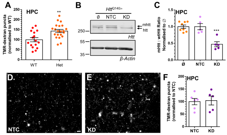 image009.png image009.png