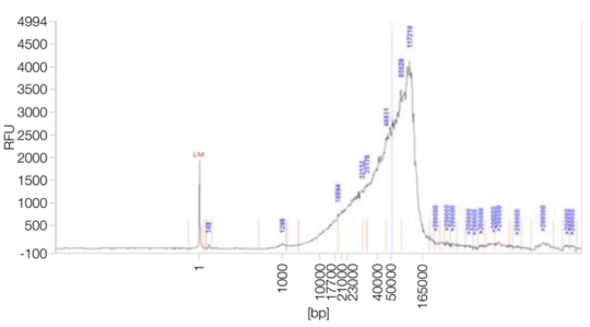 image003.png image003.png