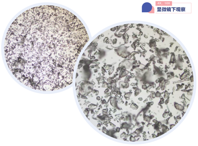 image005.png image005.png