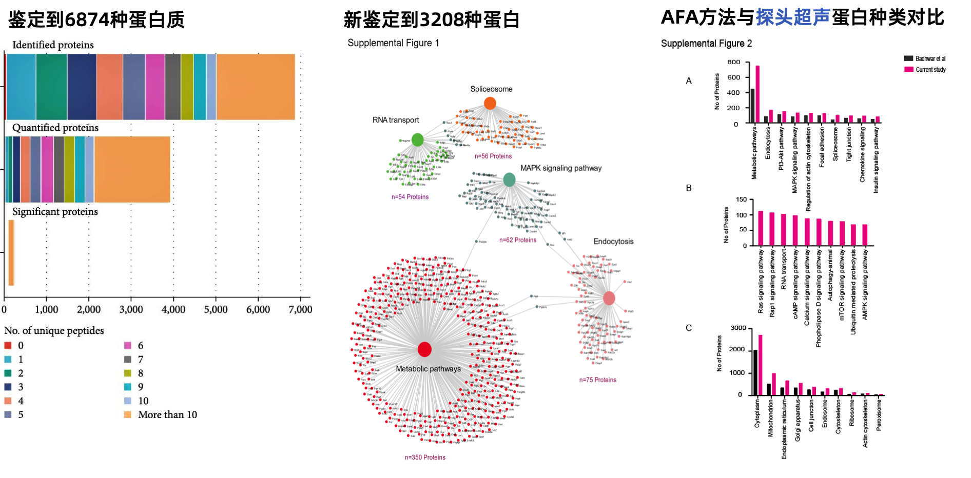 image001.png image001.png