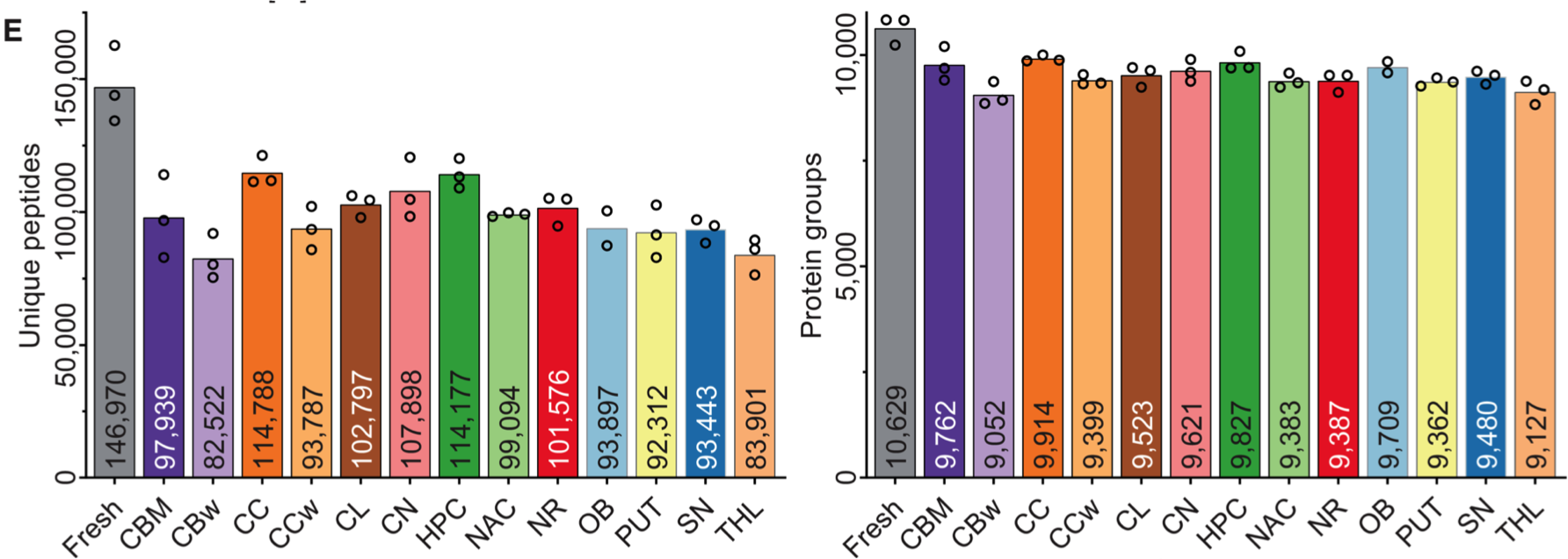 image003.png image003.png