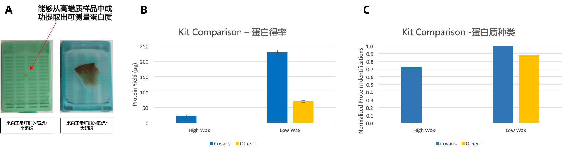 image005.png image005.png