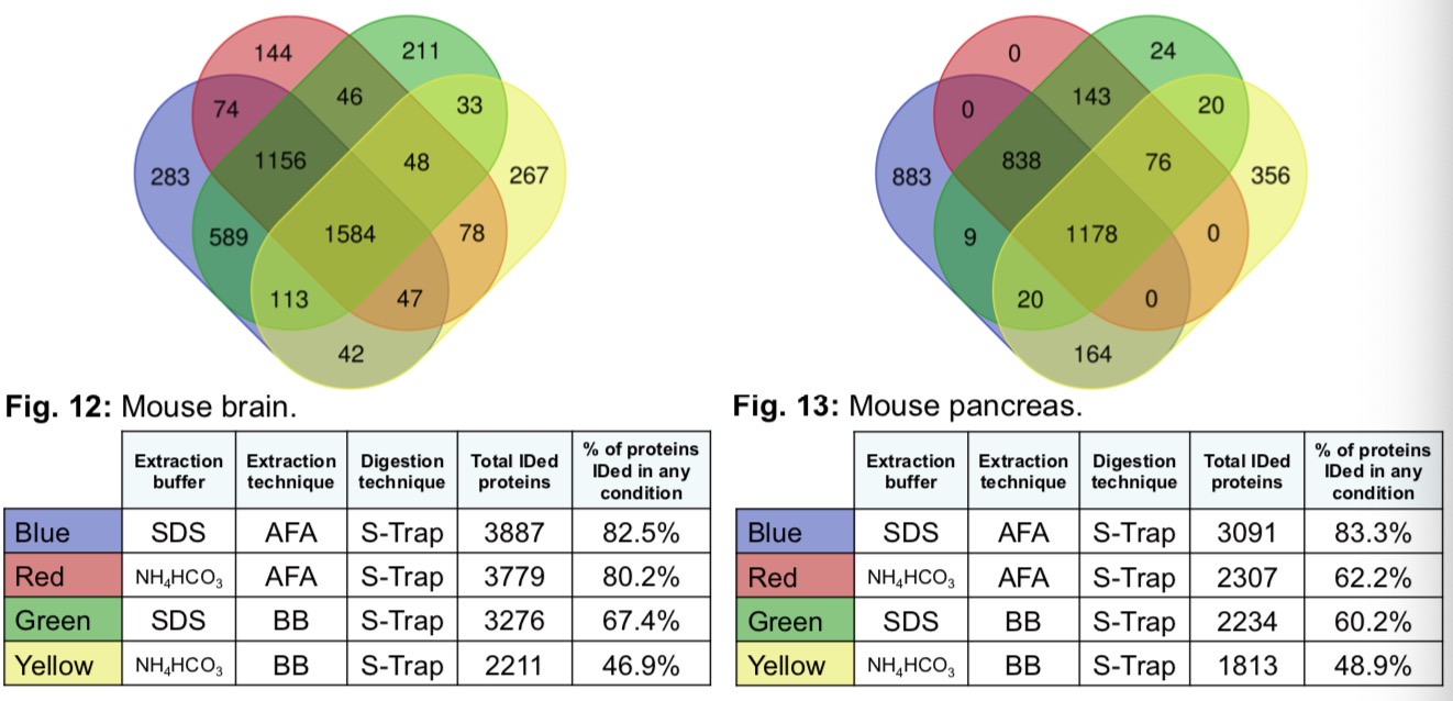 image007.jpg image007.jpg