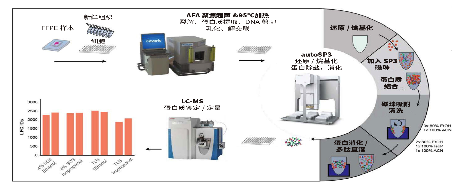 image015.png image015.png