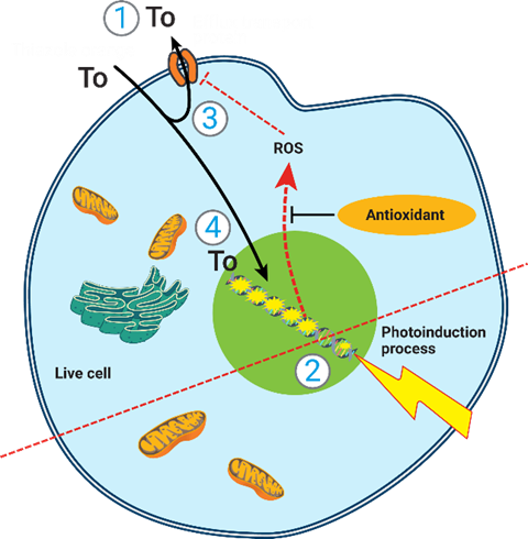 image001.png image001.png