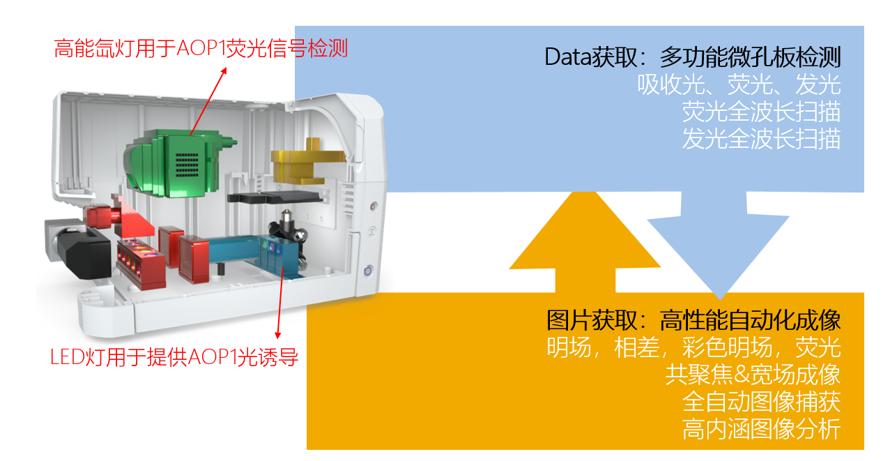 image003.png image003.png