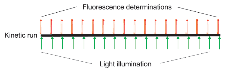 image005.png image005.png
