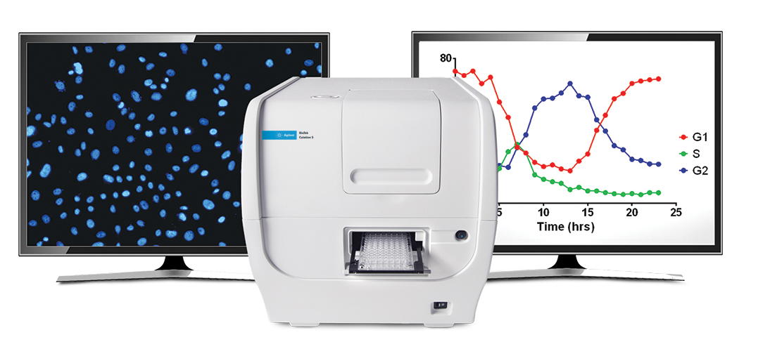 image011.jpg image011.jpg