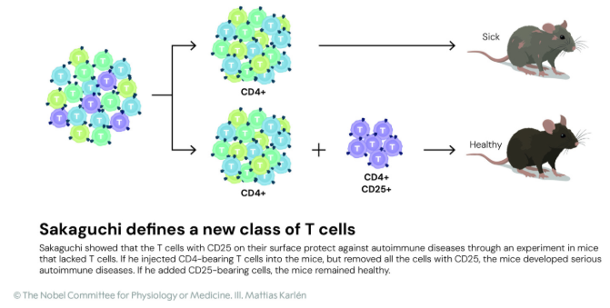 image005.png image005.png