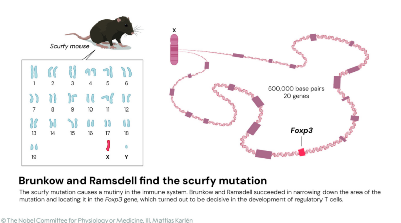 image007.png image007.png