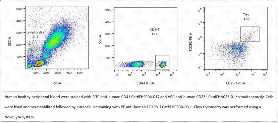 image023.jpg image023.jpg