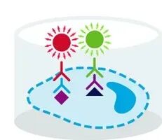 image003.jpg image003.jpg