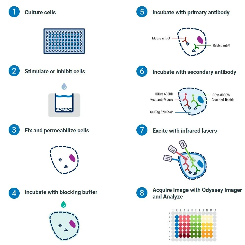 image004.jpg image004.jpg