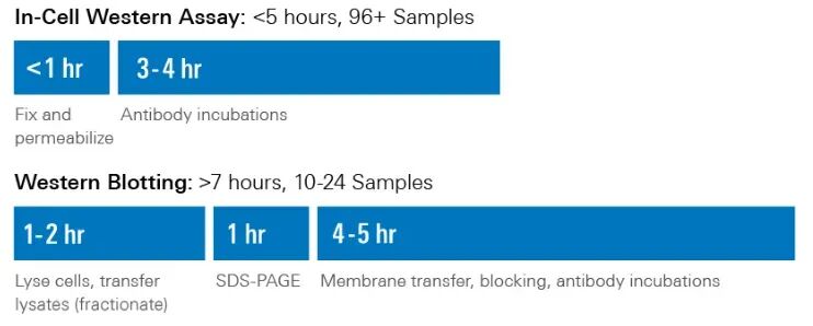 image006.jpg image006.jpg