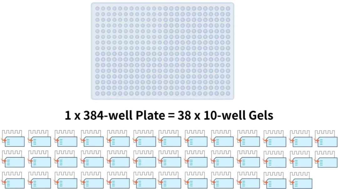 image008.jpg image008.jpg