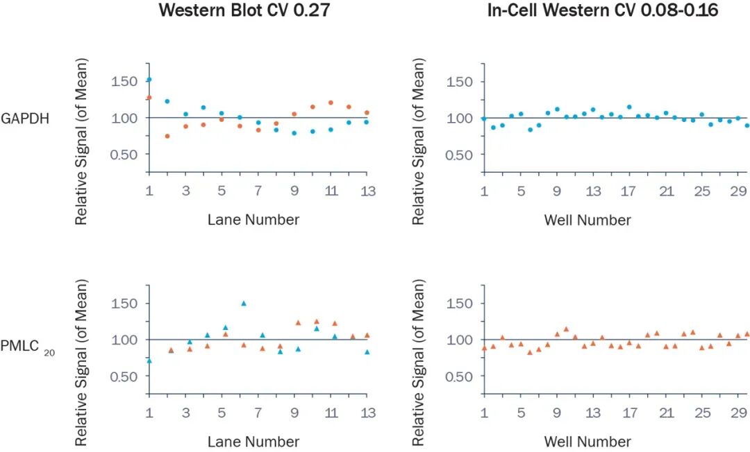 image010.jpg image010.jpg