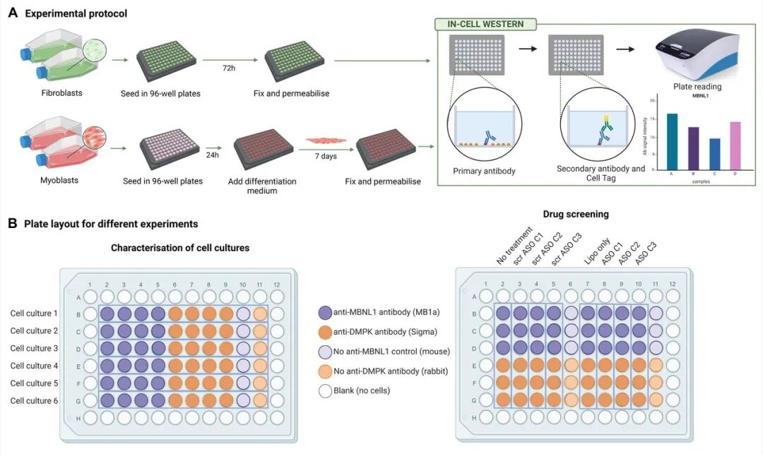 image001.jpg image001.jpg
