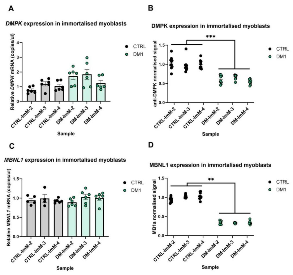 image015.jpg image015.jpg