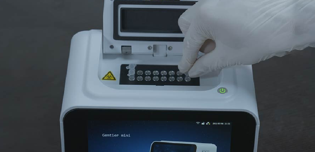 image004.png image004.png