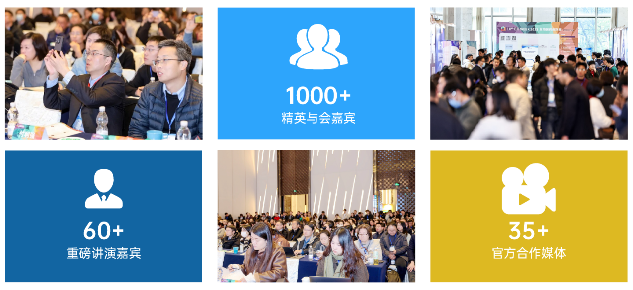 image003.png image003.png