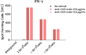 image001.png image001.png