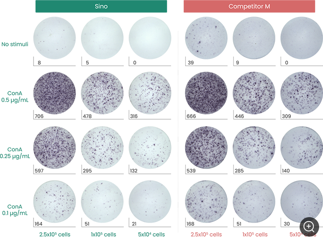 image005.png image005.png